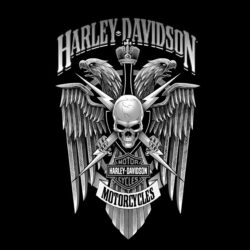 Wallpaper’s Collection: «Harley Davidson Wallpapers»