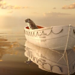 48 Life of Pi HD Wallpapers