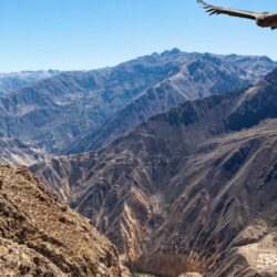 The Colca Canyon – World’s Largest Canyon – World for Travel