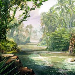 Far Cry 3 Jungle HD Wallpapers