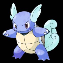 008 Wartortle cry