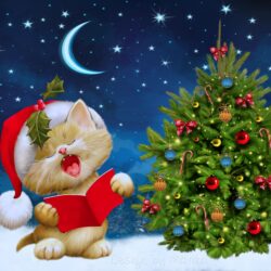 Download wallpapers new year, christmas, cat, card hd