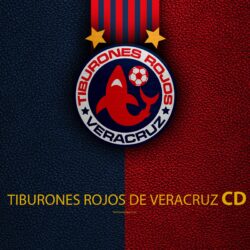 Download wallpapers Veracruz FC, CD Tiburones Rojos de Veracruz, 4k