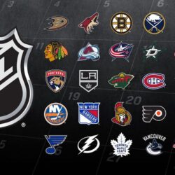 The 31 NHL team logos, ranked