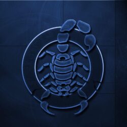 Scorpion Wallpapers and Pictures