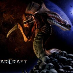 Starcraft