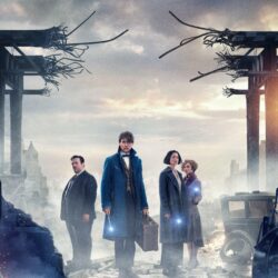 Fantastic Beasts and Where to Find Them 4K 2016 Wallpapers