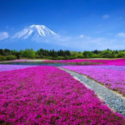 Mount Fuji Landscape, Japan 4K UltraHD Wallpapers