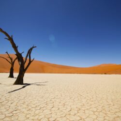 Sossusvlei salt pan and the red sand dunes of Namib Desert