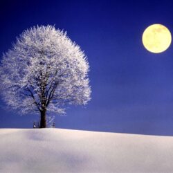 Winter Night with Full Moon widescreen wallpapers