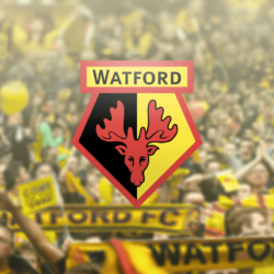 WatfordFC on Behance