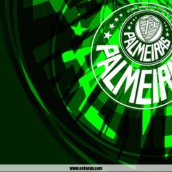 Papel de parede Palmeiras fotos incríveis