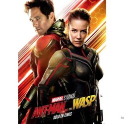 Ant Man and the Wasp Movie Wallpapers