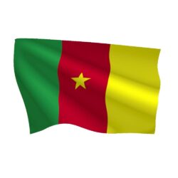 Graafix!: Flag of Cameroon flag graphics