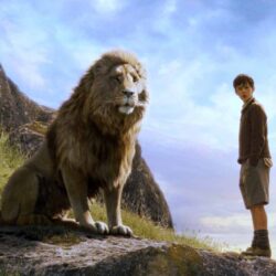 HD Wallpapers: Chronicles of Narnia Wallpapers