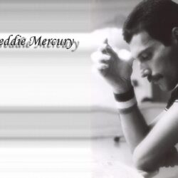 Best Freddie Mercury Wallpapers Picture