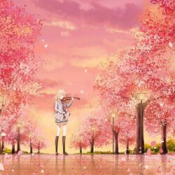 Anime Your Lie In April Kaori Miyazono Wallpapers