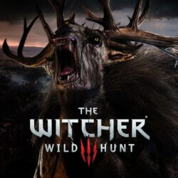 Wallpapers Wallpapers from The Witcher 3: Wild Hunt