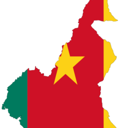 flag map of Cameroon