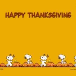 Wallpapers For > Funny Thanksgiving Wallpapers Desktop