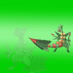 Mega Sceptile Wallpapers by DerpGuy203