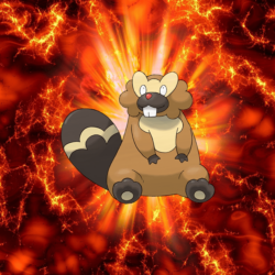 400 Fire Pokeball Bibarel Unknown Bidoof