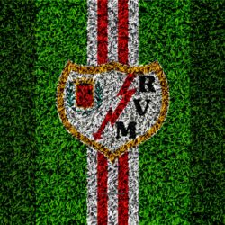 Download wallpapers FC Rayo Vallecano, logo, 4k, football lawn