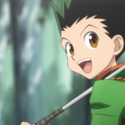 Gon Freecss 6 Free Wallpapers