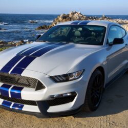 2016 Shelby GT350 Mustang ford muscle wallpapers