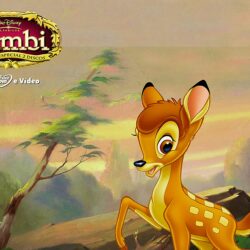 Bambi Wallpapers HD