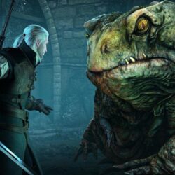 Hearts Of Stone Toad Prince The Witcher 3 Wild Hunt wallpapers
