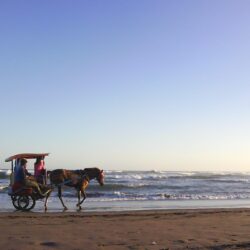Beaches: Andong Tools Transportation Yogyakarta Tour Beach Indonesia