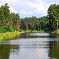 Lithuania Nature Forests Rivers