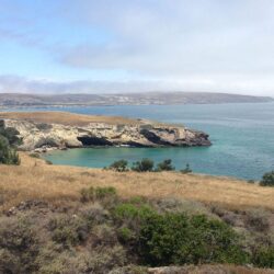 Volunteer Vacation at Channel Island, California – Sierra Club