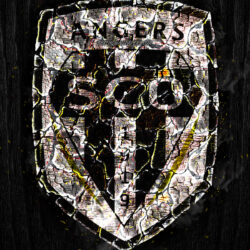Download wallpapers Angers SCO, scorched logo, Ligue 1, black wooden