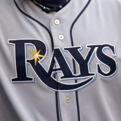 TAMPA BAY RAYS baseball mlb hq wallpapers