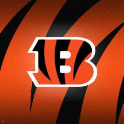 Download Custom Bengals Zoom Backgrounds For Fans Working Remotely