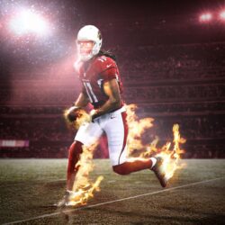 Larry Fitzgerald Wallpapers 2017