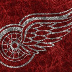 Detroit Red Wings by CorvusCorax92