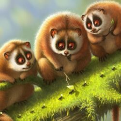 Download Wallpapers Lemur, Lemurs, Branch, Animals, Moss