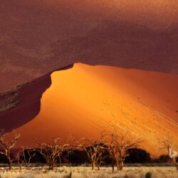 Sand dune, Sossusvlei, Namibia