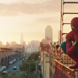 Spider Man Homecoming Wallpapers HD 15460