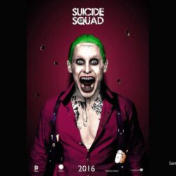 Free download Suicide Squad Movie Wallpapers 2 [] for
