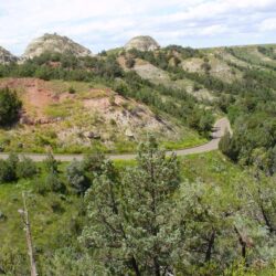 Life at 55 mph: Theodore Roosevelt National Park in Medora, North