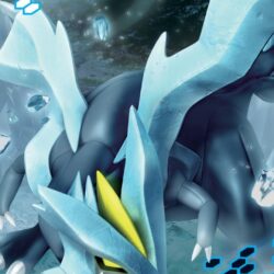 Pokemon kyurem wallpapers