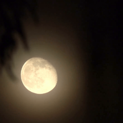 HD tight waning gibbous moon super detail v2 Stock Video Footage