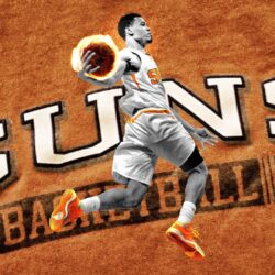 Phoenix Suns 2014