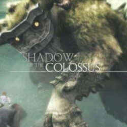 15 Shadow Of The Colossus HD Wallpapers