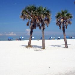 Clearwater Florida Wallpapers