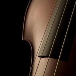 Awesome Violin Macro Wallpapers Photos 165 Wallpapers